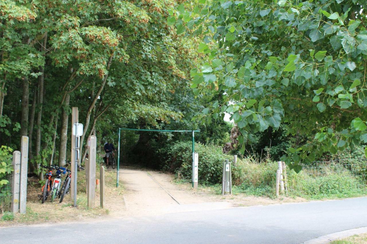 קוקסיידה De Veldmuis, Met Mooie Speelhoek En Speelhuis מראה חיצוני תמונה